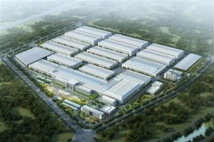 许昌又有50个重点项目集中开工啦 涉及胖东来购物广场 市立医院二期